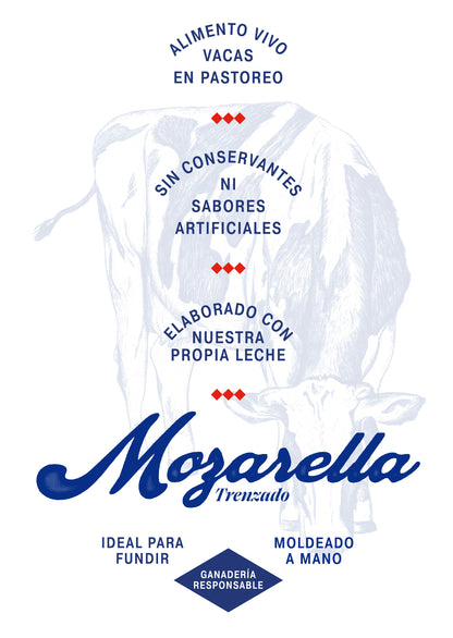 Queso mozarella trenzado Salinero